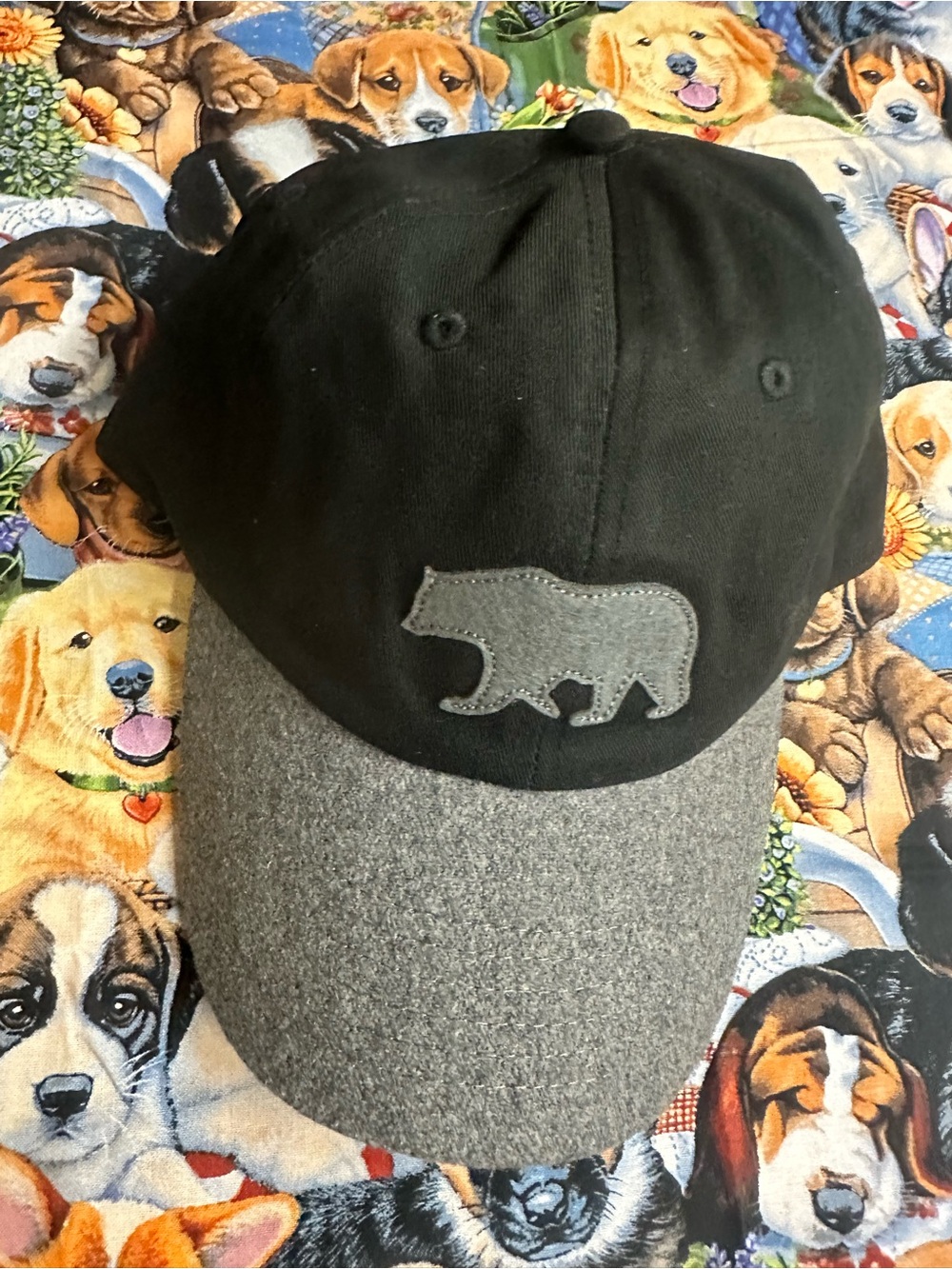 Levi Mens Black & Gray Bear Patch Baseball Cap